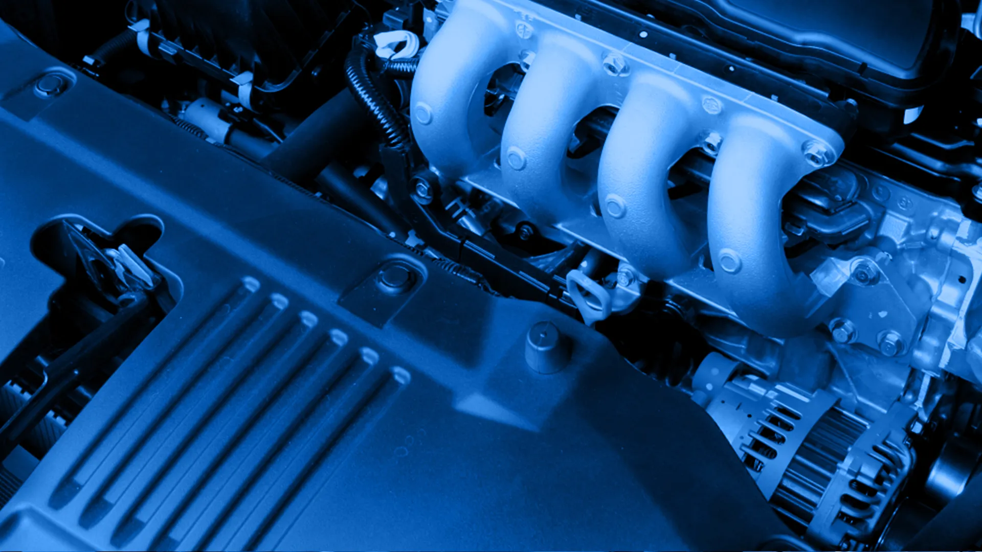 trwale spaja zadzwon do sala strony i sklepy internetowe